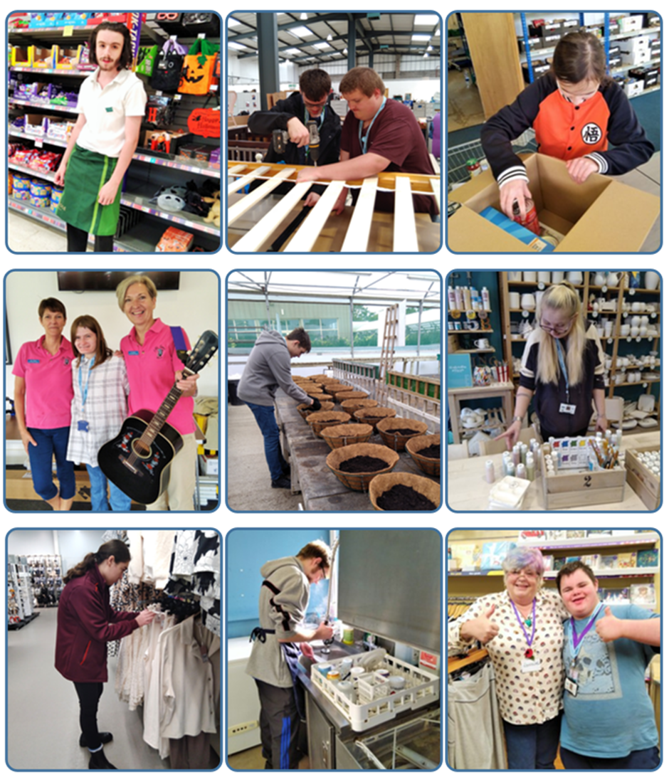 Students on work experience