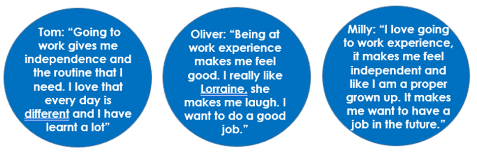 Quotes from students about work experience