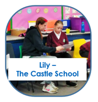 Student case study - Lily