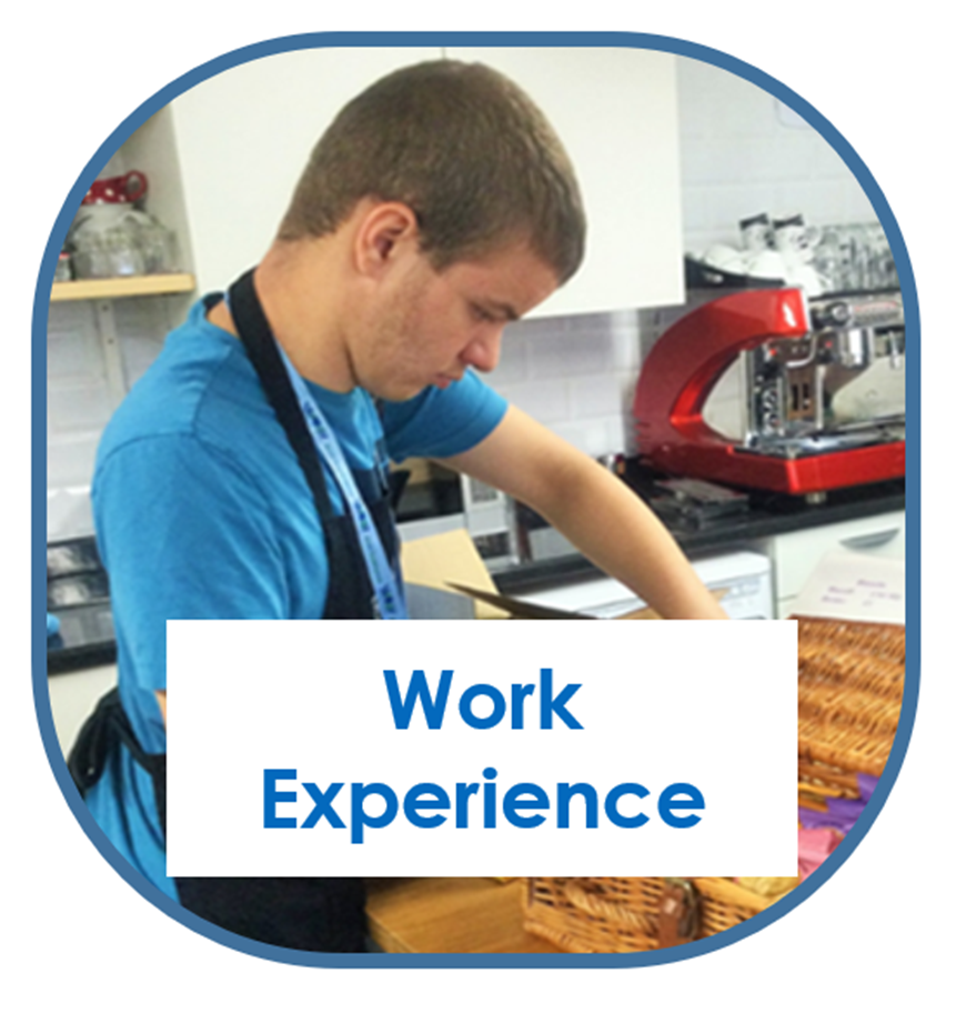 Link to Work Experience