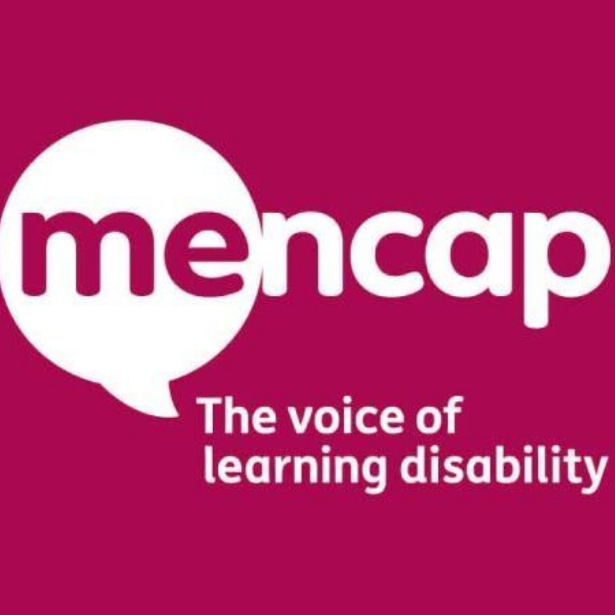 The Castle School - Mencap half-term Platinum Jubilee Activities